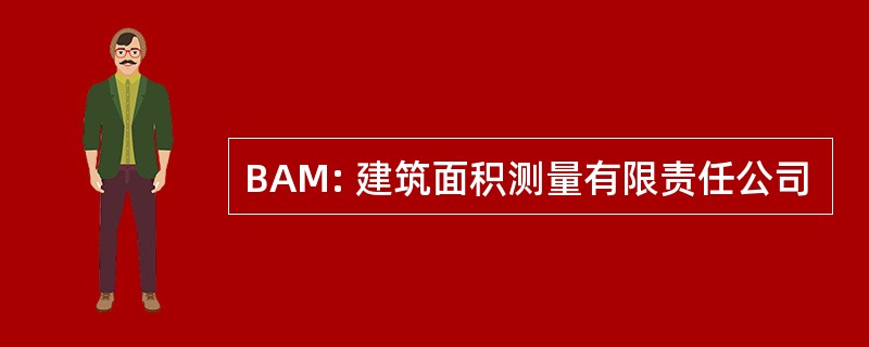 BAM: 建筑面积测量有限责任公司