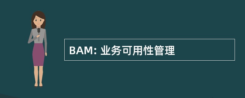 BAM: 业务可用性管理