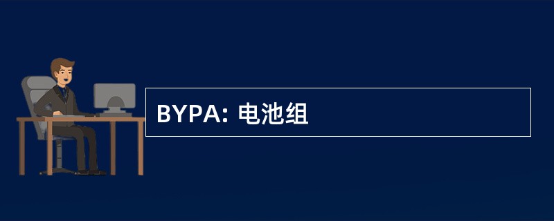 BYPA: 电池组