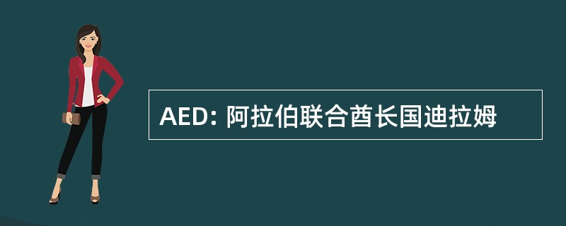 AED: 阿拉伯联合酋长国迪拉姆