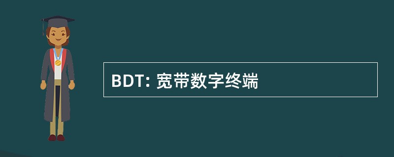 BDT: 宽带数字终端