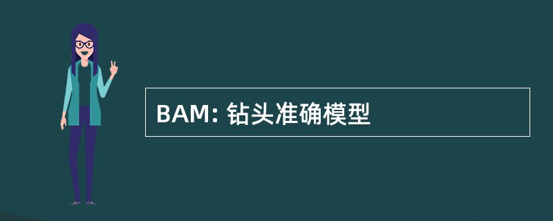 BAM: 钻头准确模型