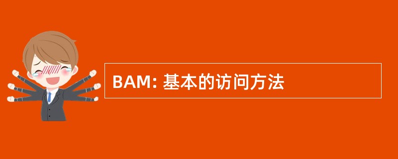 BAM: 基本的访问方法