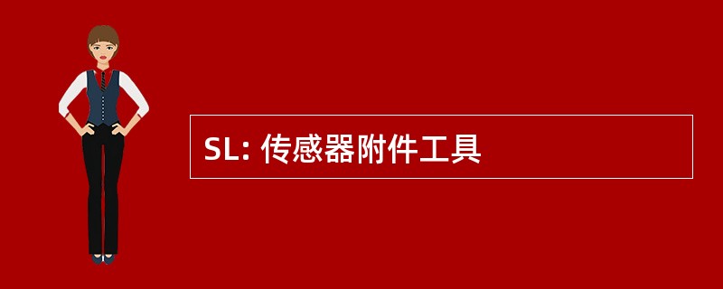 SL: 传感器附件工具