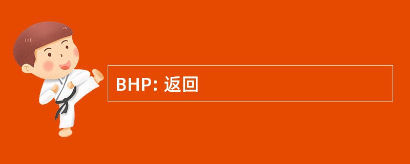 BHP: 返回