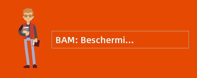 BAM: Bescherming Akoestisch 环境