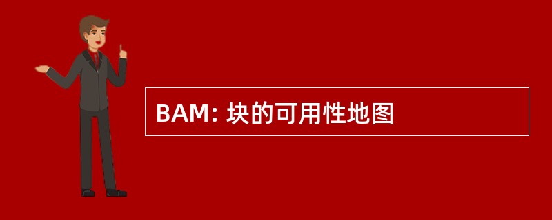 BAM: 块的可用性地图