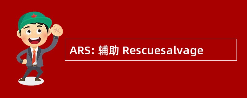 ARS: 辅助 Rescuesalvage