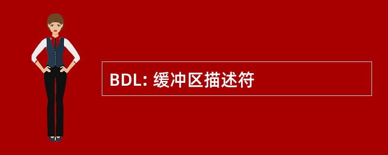 BDL: 缓冲区描述符