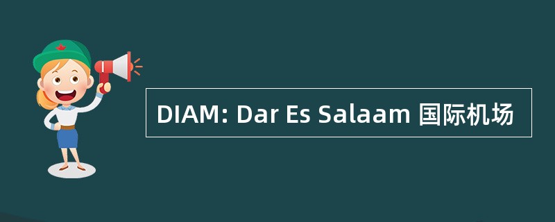 DIAM: Dar Es Salaam 国际机场