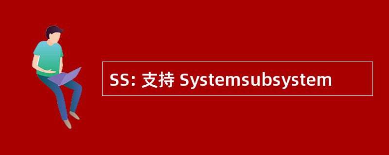 SS: 支持 Systemsubsystem