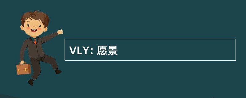 VLY: 愿景