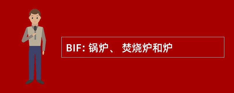 BIF: 锅炉、 焚烧炉和炉