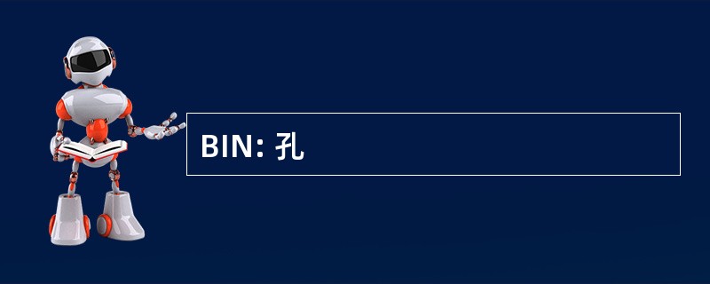 BIN: 孔