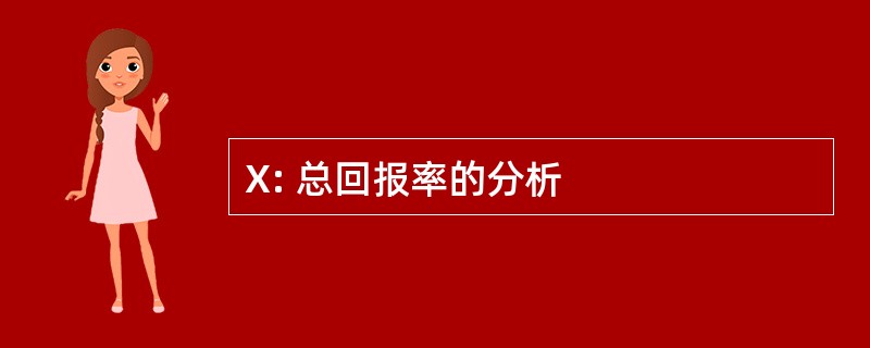 X: 总回报率的分析