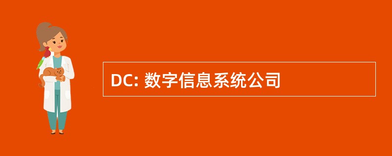 DC: 数字信息系统公司