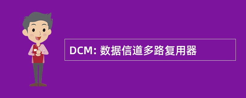 DCM: 数据信道多路复用器