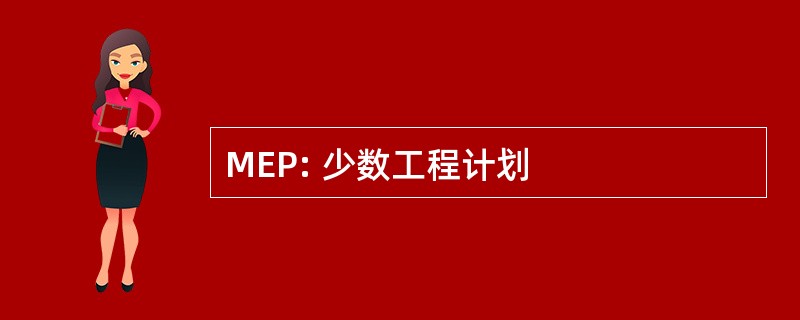 MEP: 少数工程计划