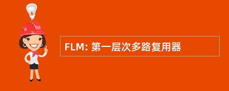 FLM: 第一层次多路复用器