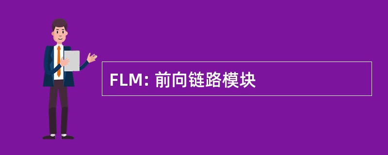 FLM: 前向链路模块