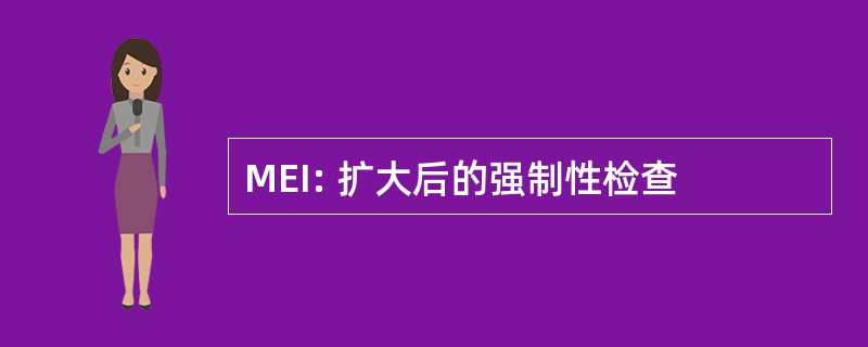 MEI: 扩大后的强制性检查