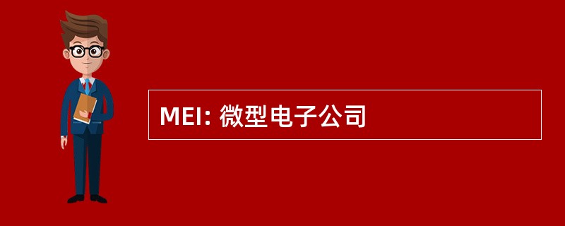 MEI: 微型电子公司