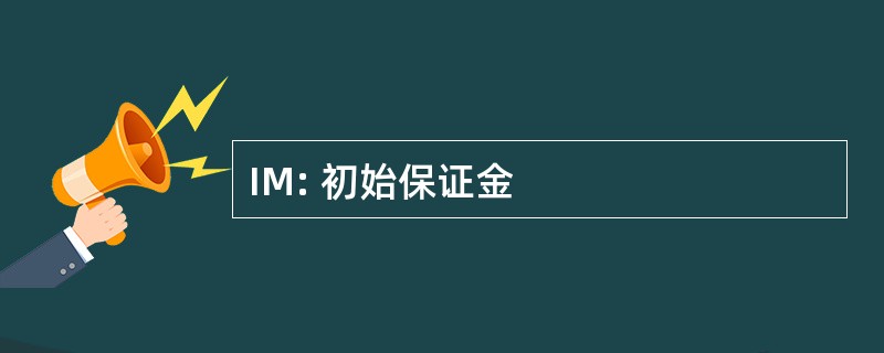 IM: 初始保证金