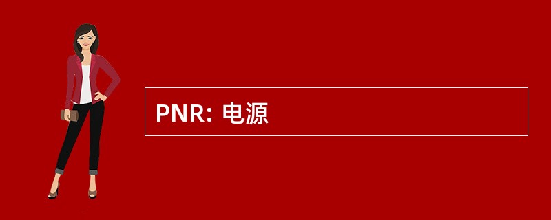 PNR: 电源