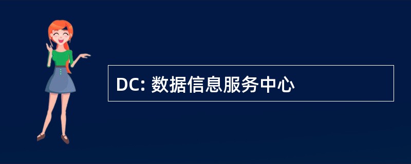 DC: 数据信息服务中心