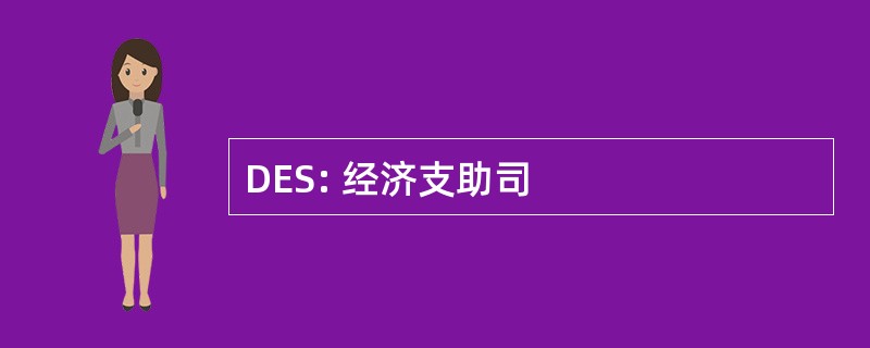 DES: 经济支助司