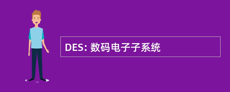 DES: 数码电子子系统