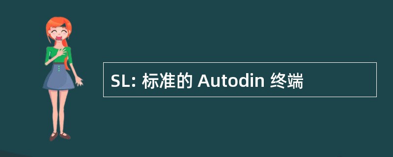 SL: 标准的 Autodin 终端