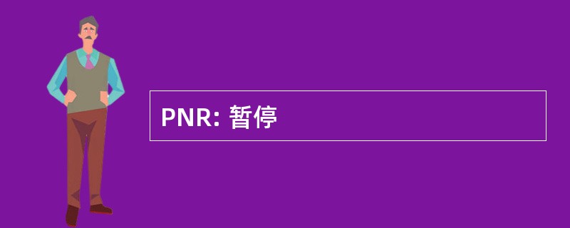 PNR: 暂停