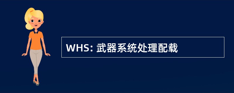 WHS: 武器系统处理配载