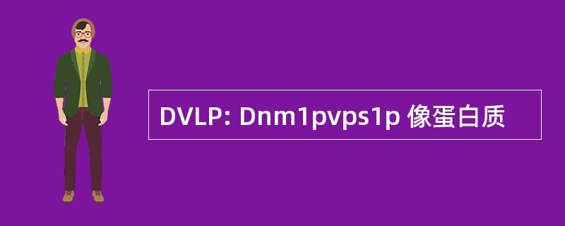 DVLP: Dnm1pvps1p 像蛋白质