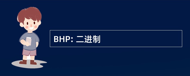 BHP: 二进制