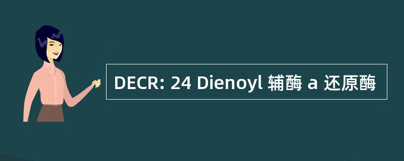 DECR: 24 Dienoyl 辅酶 a 还原酶