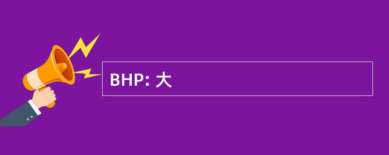 BHP: 大