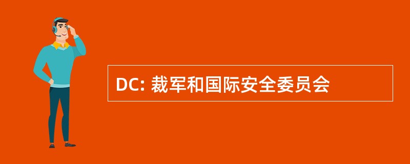 DC: 裁军和国际安全委员会