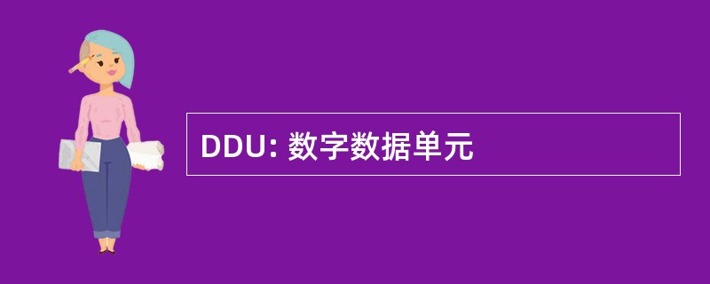 DDU: 数字数据单元