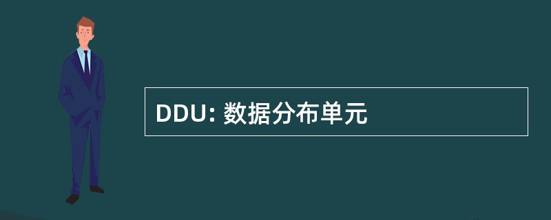 DDU: 数据分布单元