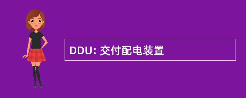 DDU: 交付配电装置