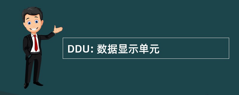 DDU: 数据显示单元