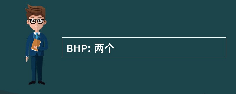 BHP: 两个