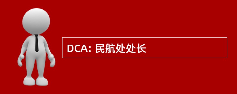 DCA: 民航处处长