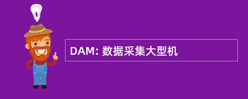 DAM: 数据采集大型机