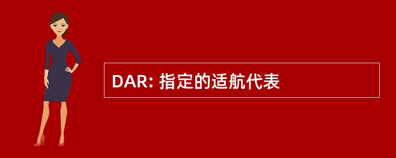 DAR: 指定的适航代表