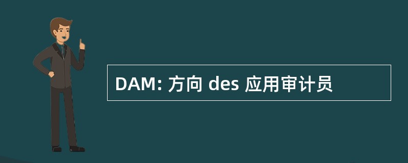 DAM: 方向 des 应用审计员