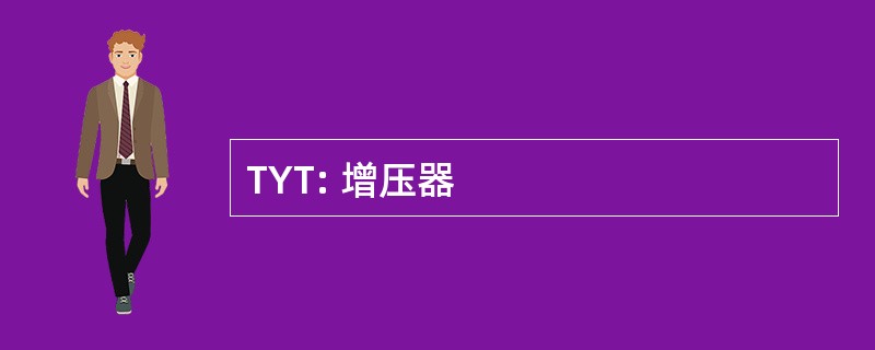 TYT: 增压器