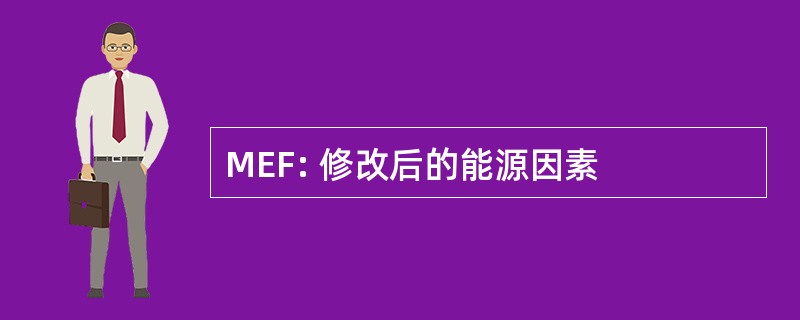 MEF: 修改后的能源因素